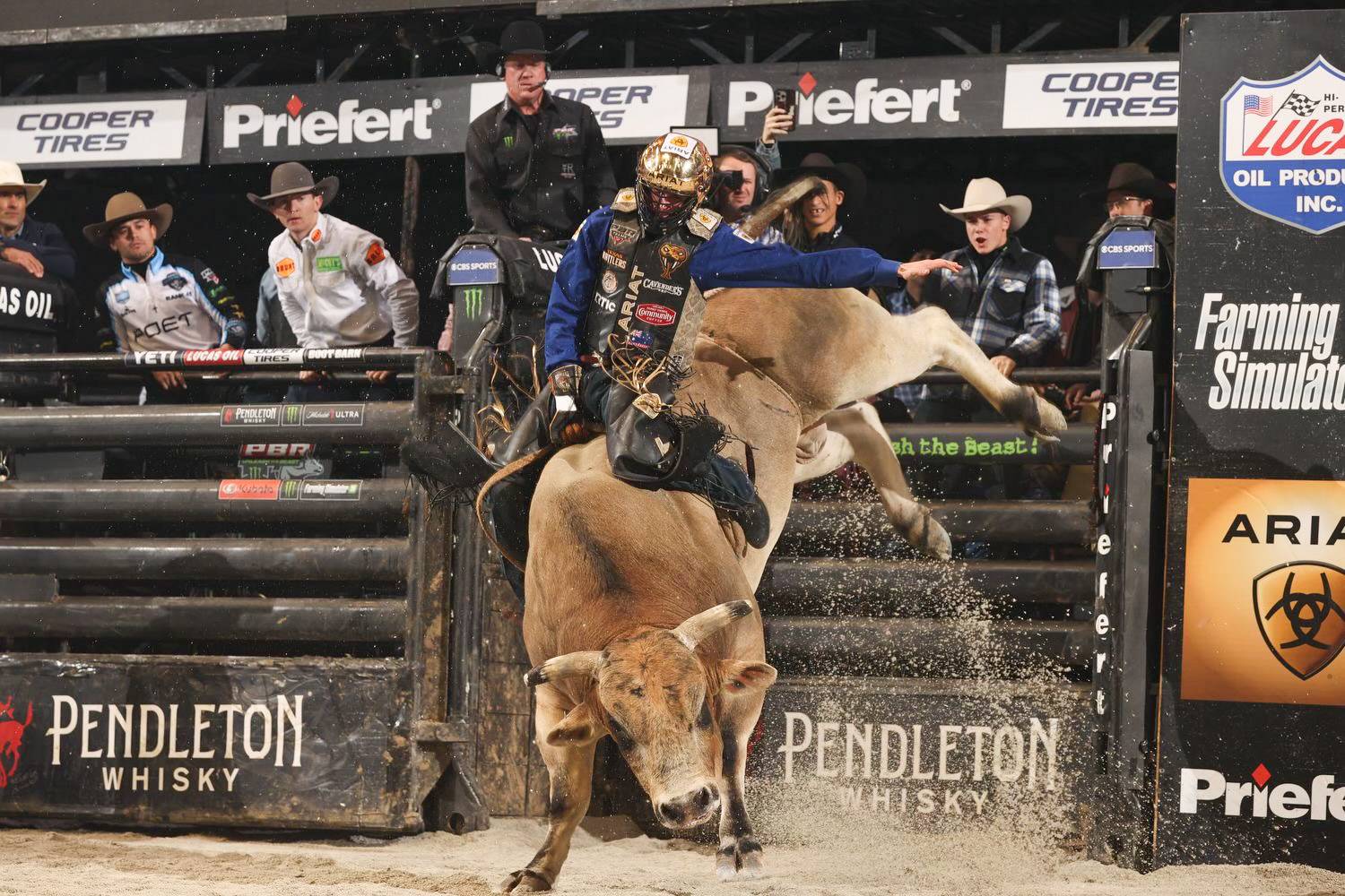 Rattler Roundup: January 2025 article image