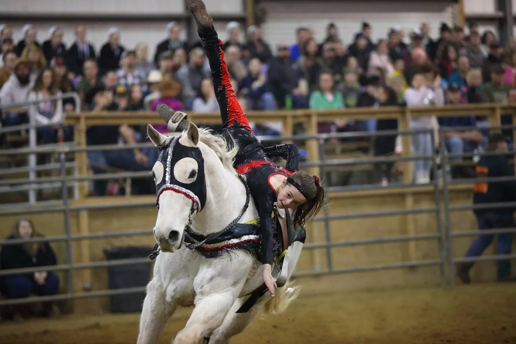 Acrobatic Trick Riding Performance in Arena