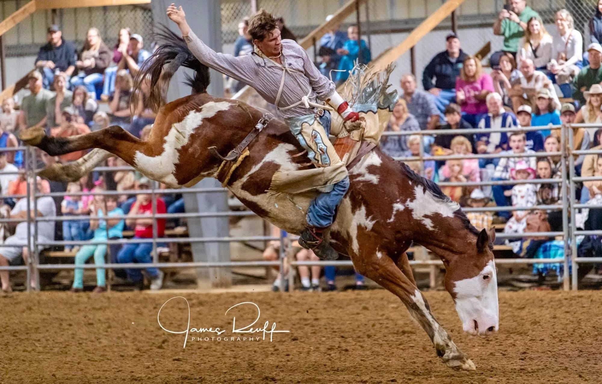 Bareback Rider on Bucking Horse at Rodeo