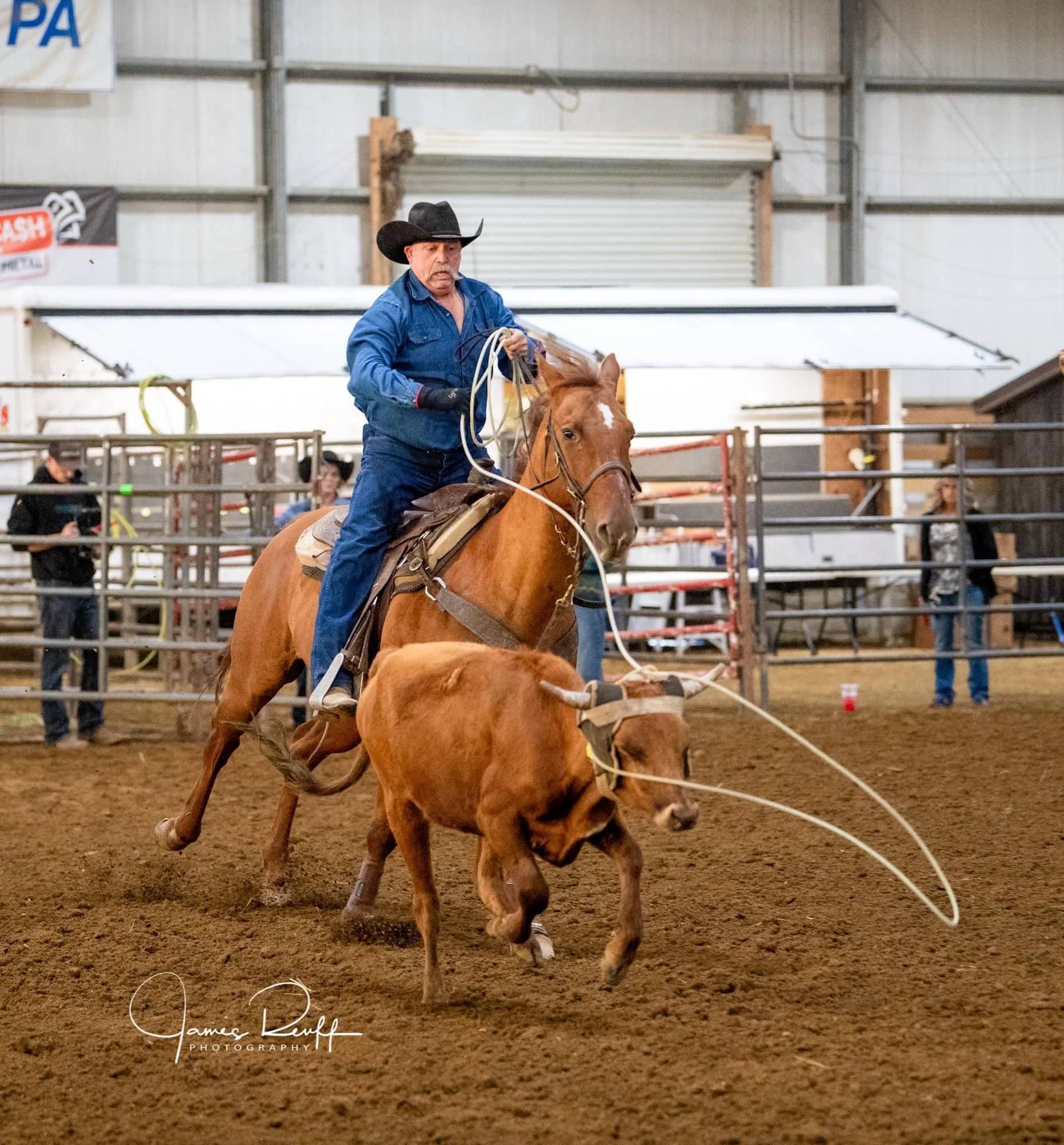 Cowboy Roping a Steer in an Indoor Rodeo Arena