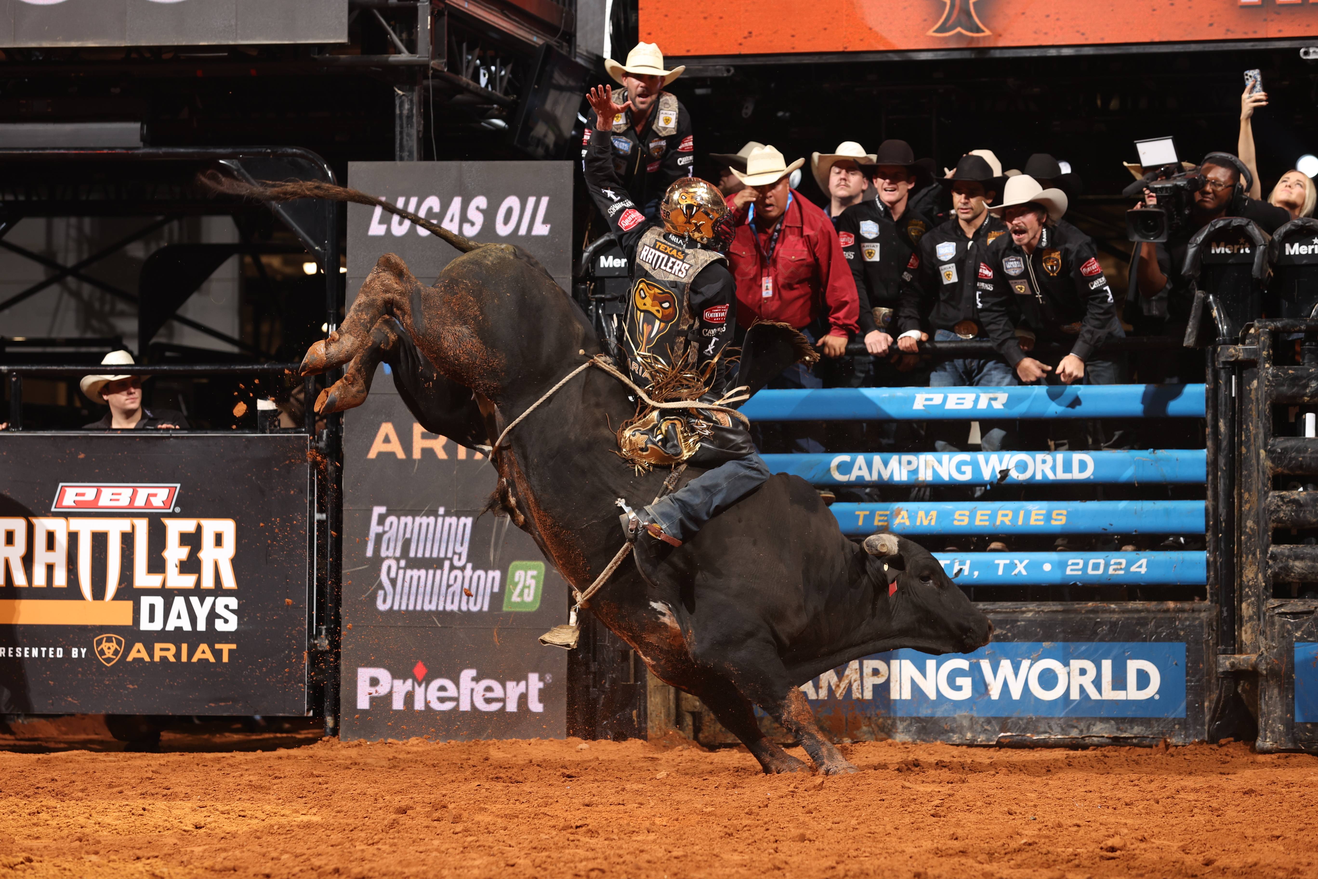 Rattler Roundup: Rattler Days 2024 article image