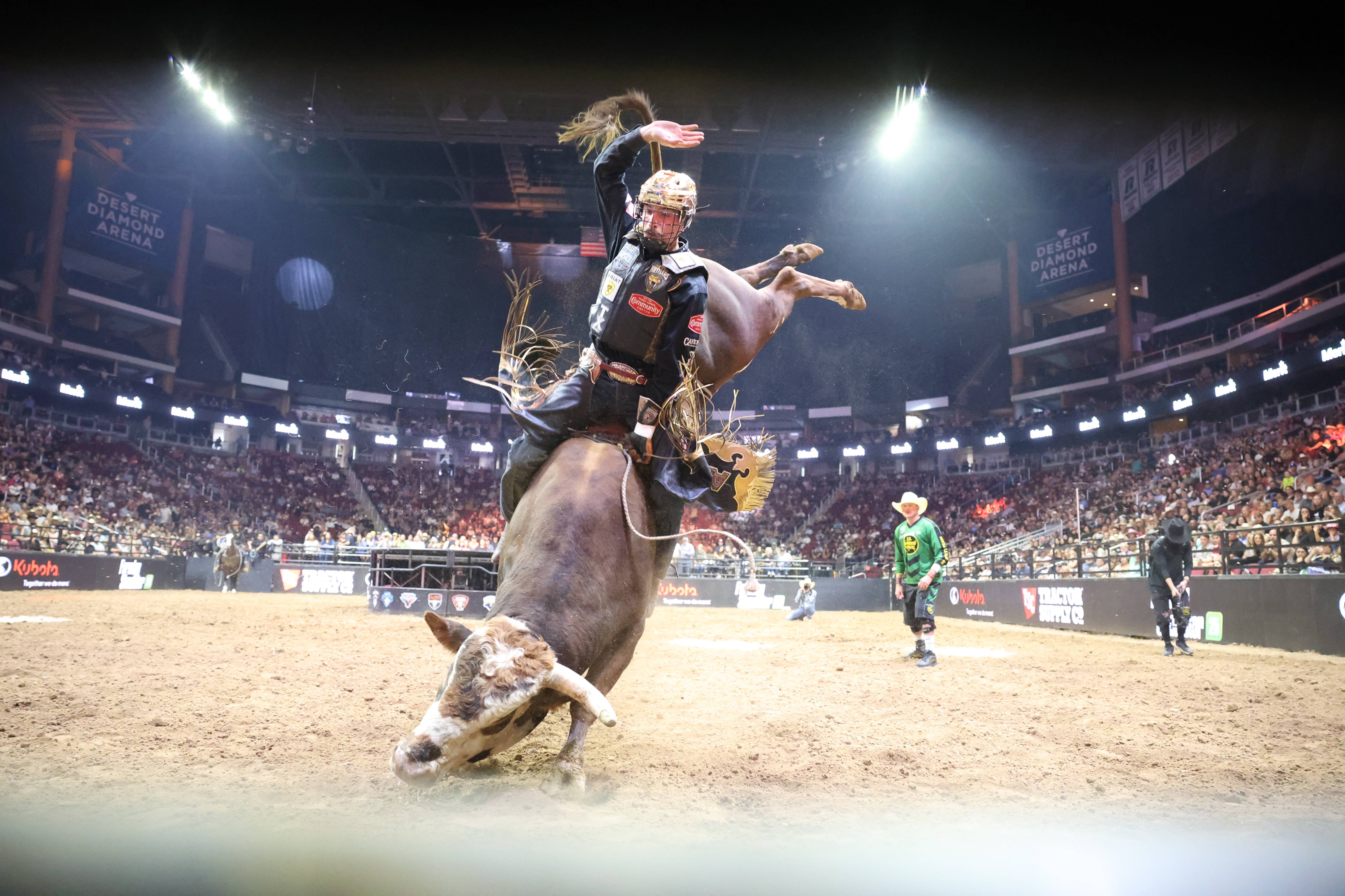 Rattler Roundup: Glendale 2024 article image