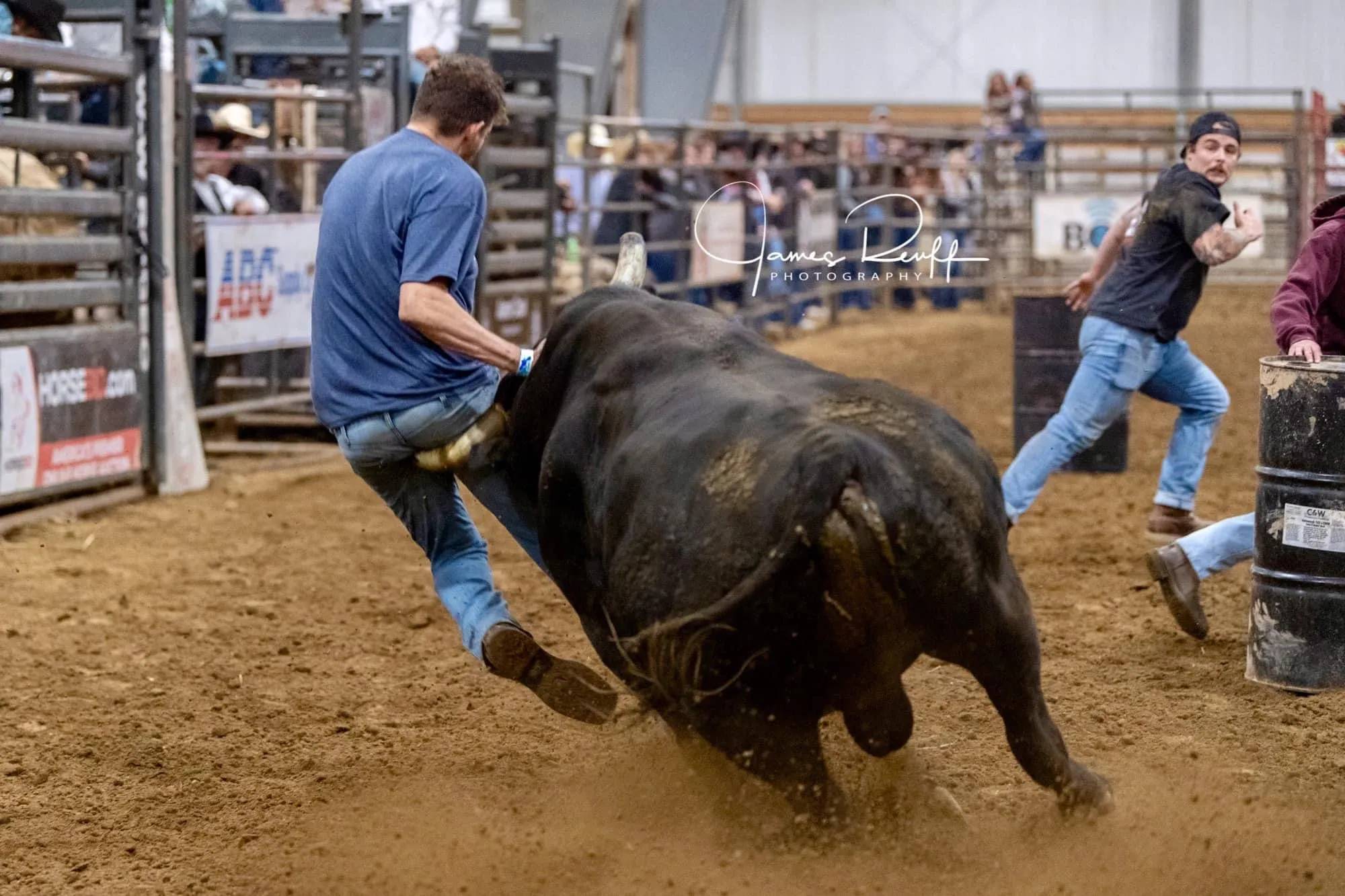 Intense Bull Riding Action in Rodeo Arena
