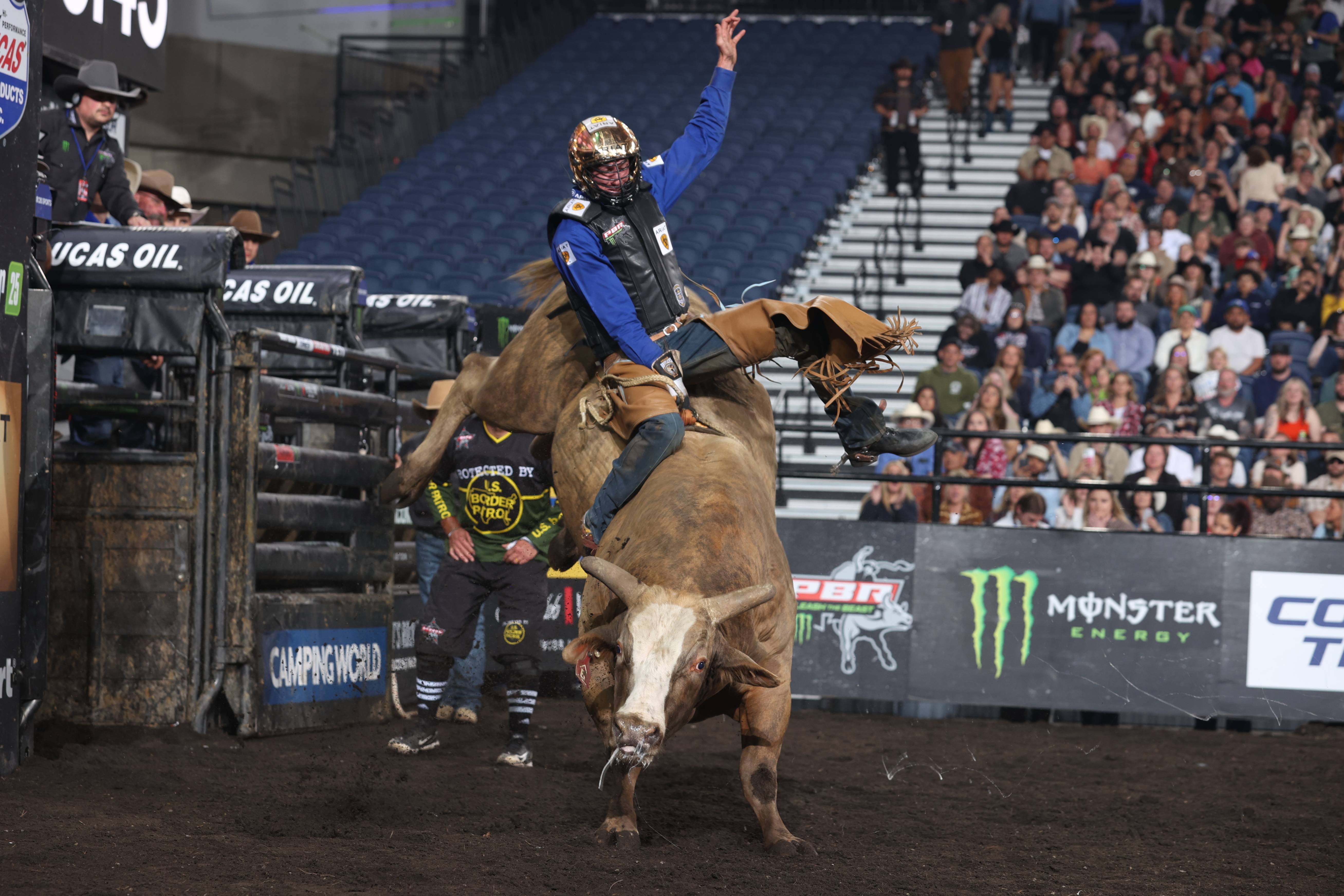 Unleash the Beast: Brady Fielder Shines in Hiss-to… article image