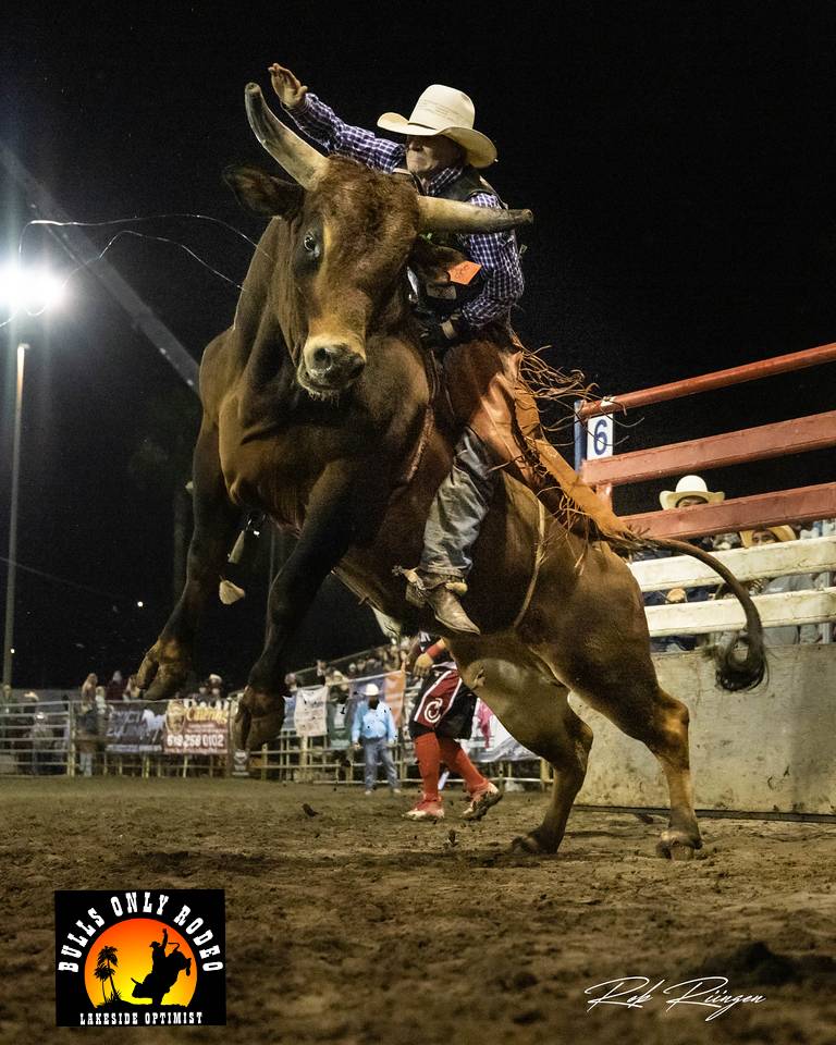 bor-bull-rider-copy.jpeg