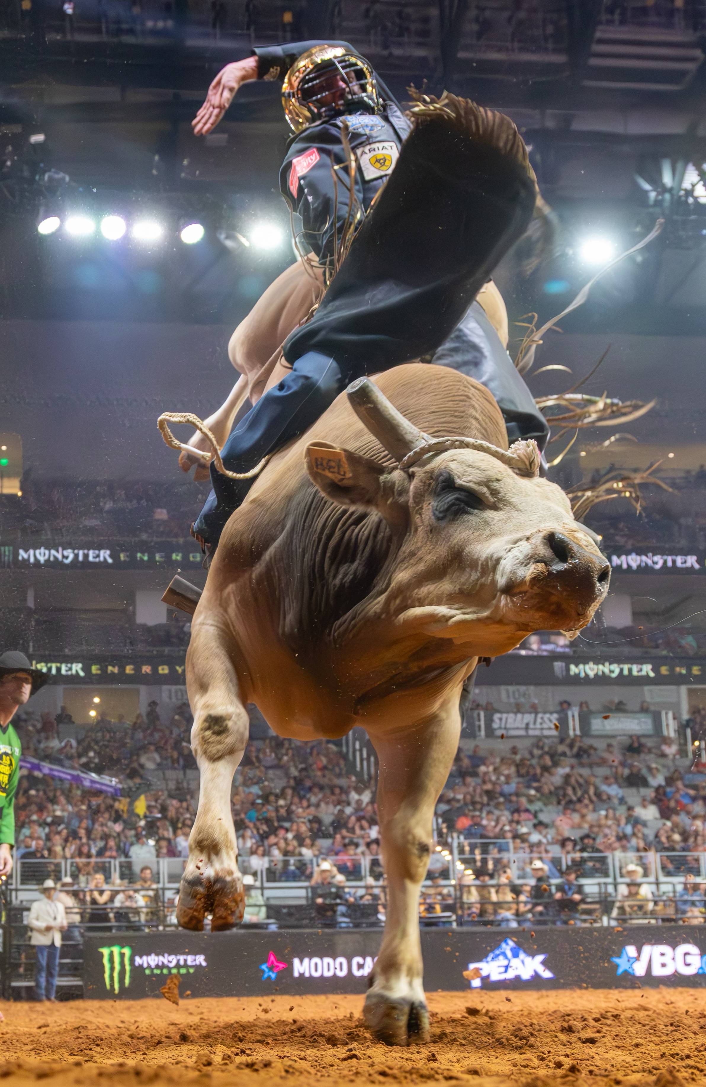 Bull Riding Action